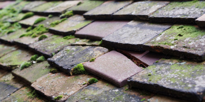 Newhaven roof repair costs